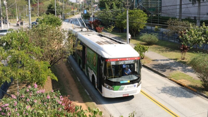 Primeira Floresta Urbana Linear em Corredor de Ônibus: menos poluição e mais saúde no ABC Paulista