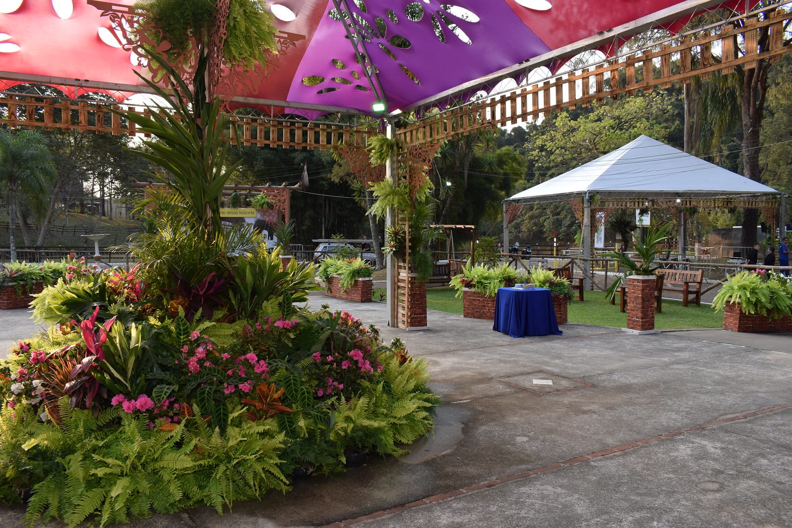 Festa das Orquídeas de Várzea Paulista, um espetáculo de cores, aromas e Shows