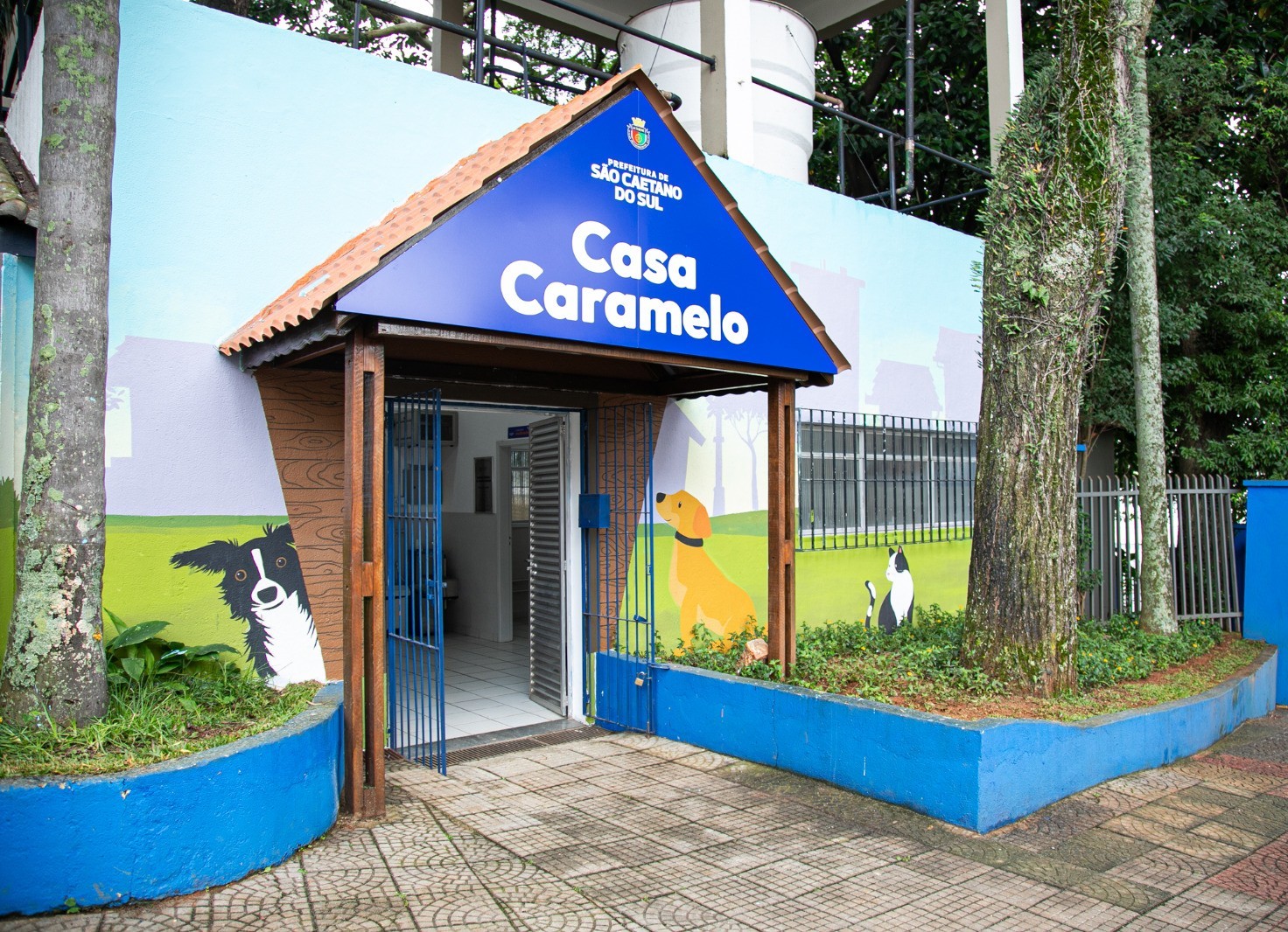 Casa Caramelo em São Caetano do Sul no ABC Paulista amplia a oferta de serviços de Saúde e Bem-Estar Animal